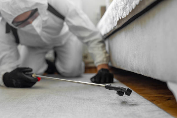 Professional Pest Control technician working in Cascade County County, MT